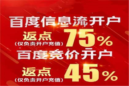 顶级SEM运营公司案例分析